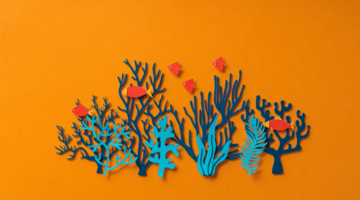 Doit-on vraiment manger du poisson ?