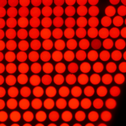 Close-up of red LEDs used in red light therapy for cell regeneration and skin rejuvenation.