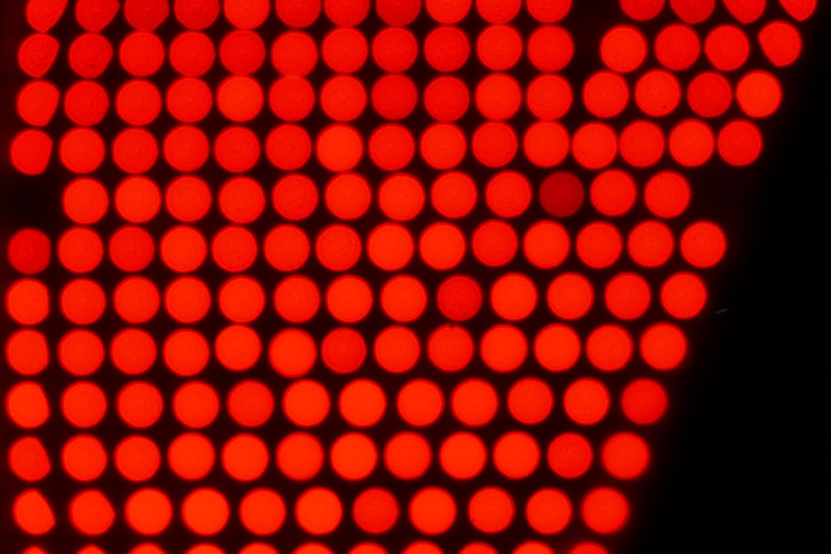 Close-up of red LEDs used in red light therapy for cell regeneration and skin rejuvenation.