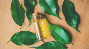 Olio essenziale di Tea Tree: benefici e usi