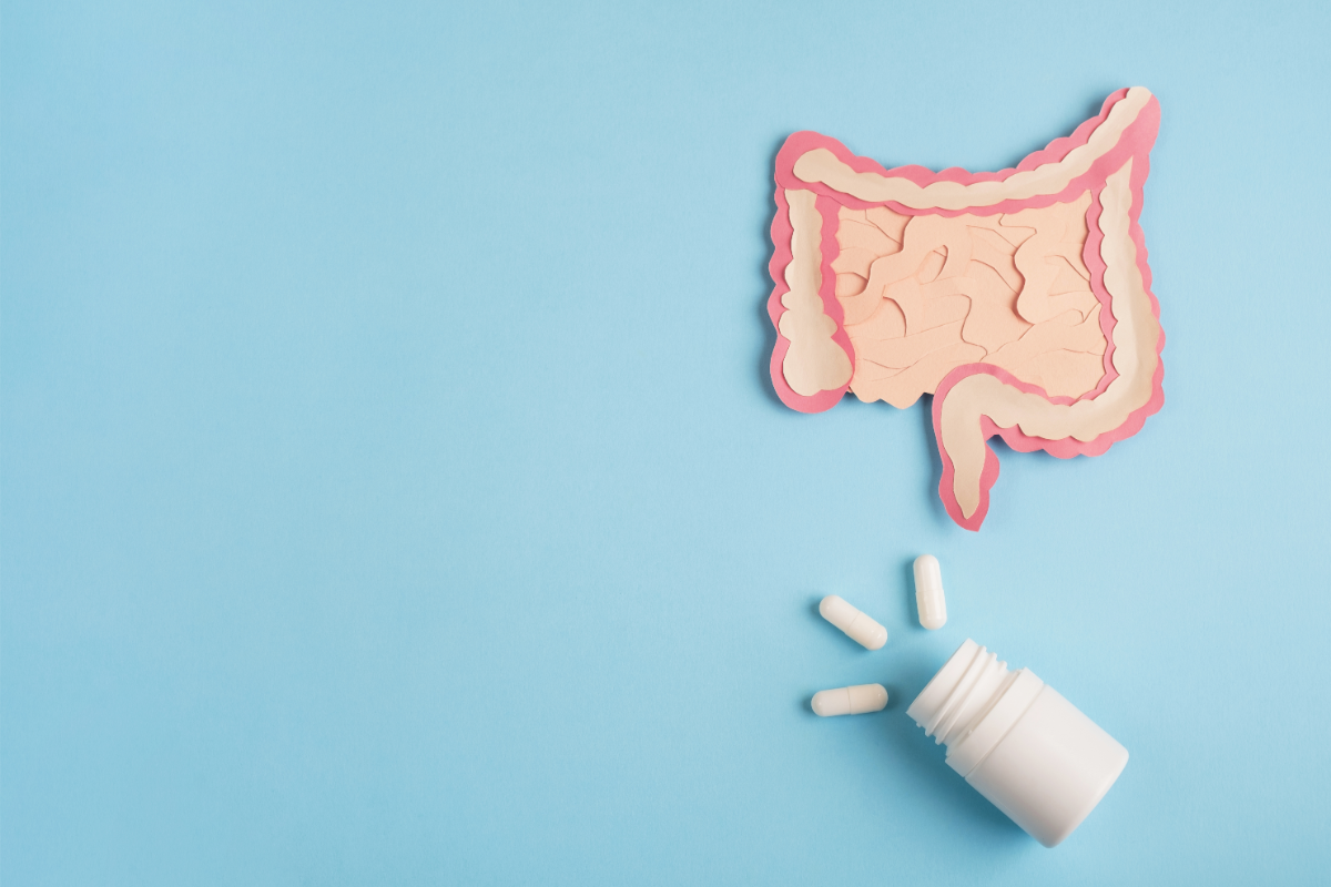 l'image représente des intestins et un flacon de probiotiques pour illustrer l'impact des médicaments sur le microbiote intestinal