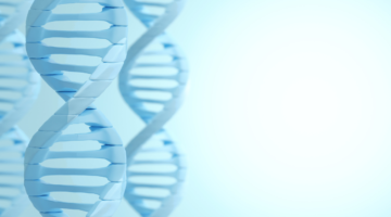 Epigenetics and youth: Keys to slowing down ageing