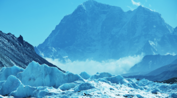 Olio essenziale di nardo dell'Himalaya: il tesoro delle cime