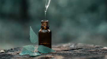 Ravensare essential oil: Characteristics, uses and benefits