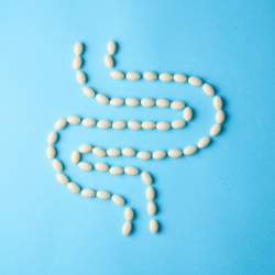 Illustration créative d'un intestin humain formé par l'agencement de pilules blanches ovales sur un fond uni bleu clair. Perméabilité intestinale