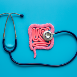 Un stéthoscope et une représentation schématique des intestins sont posés sur un fond bleu, symbolisant l'analyse médicale du système digestif et la surveillance de la santé intestinale, thèmes centraux de notre discussion sur l'importance des probiotiques pour le maintien d'un microbiote intestinal sain.