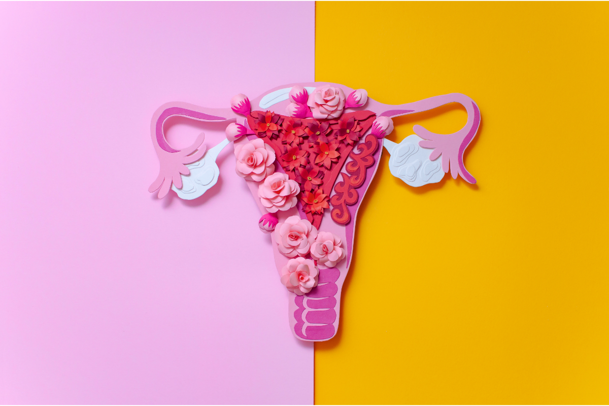 Cette image est une représentation artistique et créative de l'utérus fait avec du papier découpé. Le fond est divisé en deux couleurs, rose et jaune, et l'utérus est orné de fleurs en papier roses et rouges, qui semblent symboliser la beauté et la complexité de la santé féminine, en lien avec le sujet de l'endométriose et sa prise en charge, y compris par l'homéopathie.