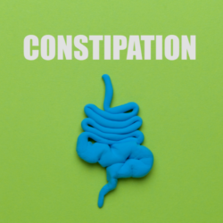 Une représentation du système digestif en bleu, sur un fond vert. On peut également voir l'inscription "constipation" en lettres majuscules en blanc.