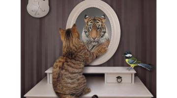 Compreender a Síndrome do Tigre: mitos e realidades