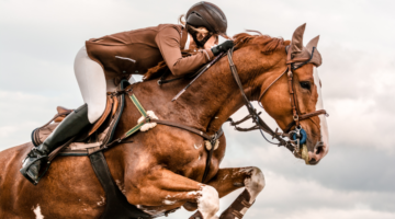 Préparation aux championnats de France d'équitation