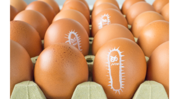 Salmonellosen: Diese Infektionen verstehen und ihnen vorbeugen