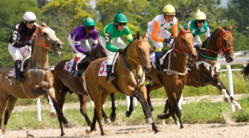 Bloedverlies bij paarden begrijpen en behandelen