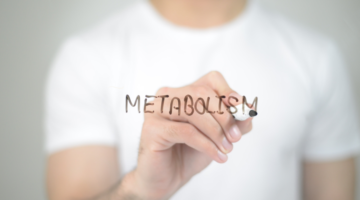 El impacto del metabolismo en la longevidad