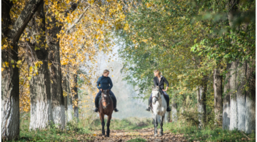Syndrome Piro-Like : Un Dilemme Équin