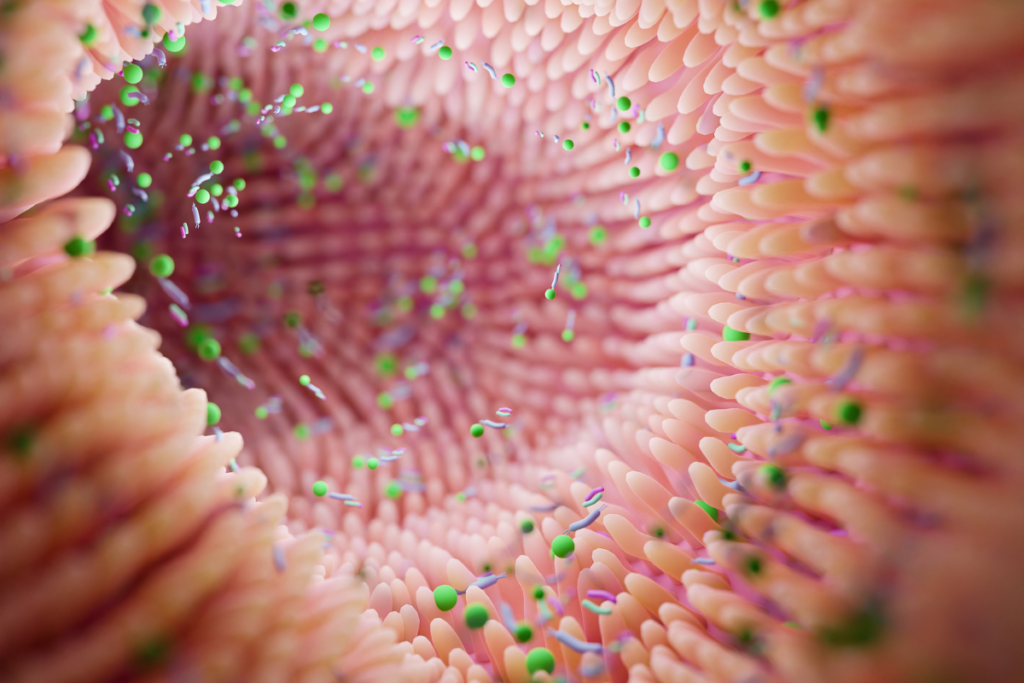 Microbiota + dietary fiber = short-chain fatty acids