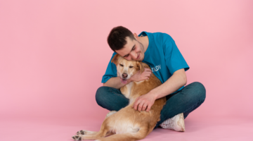 ¿Cómo se comunican los perros?