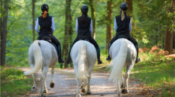 Erkennen der Lyme-Krankheit bei Pferden