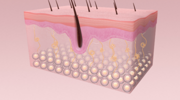 ¿Cuáles son los beneficios del Daflon para la piel?