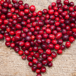 Fresh cranberries arranged in a heart shape on a wooden surface, illustrating the health benefits and anti-cancer potential of this superfood.