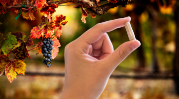 Rode wijnstok: de plant voor lichte benen