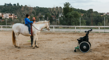 Animal mediation: support from horses in the treatment of PTSD