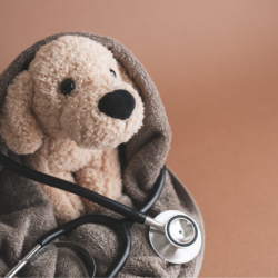 Peluche de chien enroulée dans une serviette avec un stéthoscope, illustrant les maladies allergiques chez les animaux.