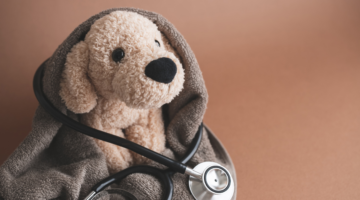 Focus sulle malattie allergiche negli animali