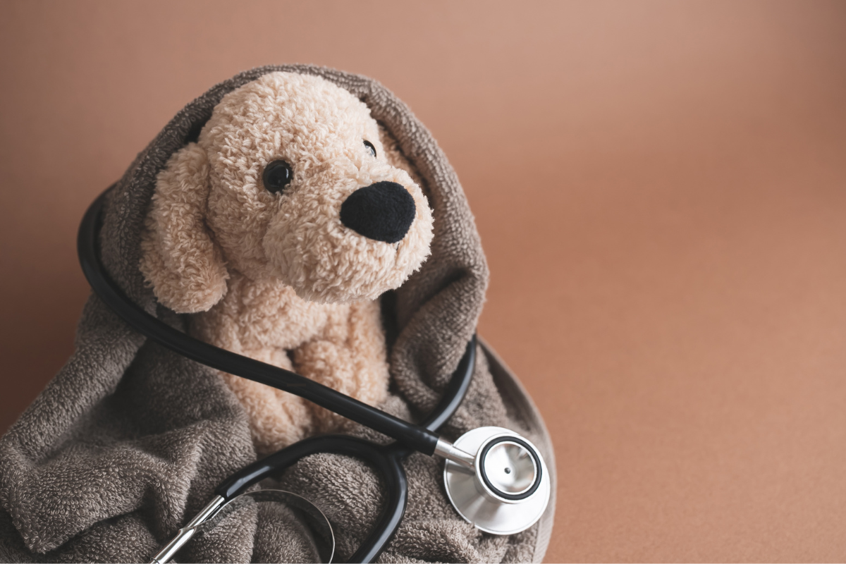 Peluche de chien enroulée dans une serviette avec un stéthoscope, illustrant les maladies allergiques chez les animaux.