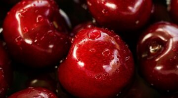 Proteja su visión de forma natural con los antocianósidos