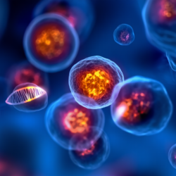 Illustrazione scientifica delle cellule senescenti che mostra l'accumulo di cellule invecchiate e i meccanismi biologici associati all'infiammazione cronica e all'invecchiamento dei tessuti.