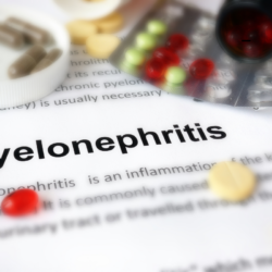 Gros plan sur un document médical indiquant pyelonephritis pour illustrer la pyélonéphrite cause et son traitement médicamenteux.